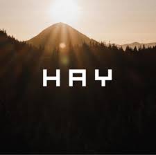HAY